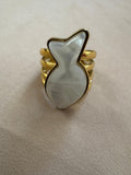 ANILLO PEZ
